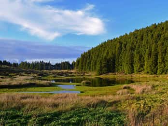 Insel Terceira: Mistérios Negros Wandern