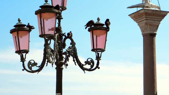 venice private city tour