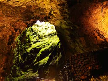 Insel Terceira: Höhlen und Krater Tour