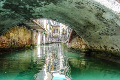 Croisière privée : Venise vue au bord de l'eauVisite aquatique + Dîner