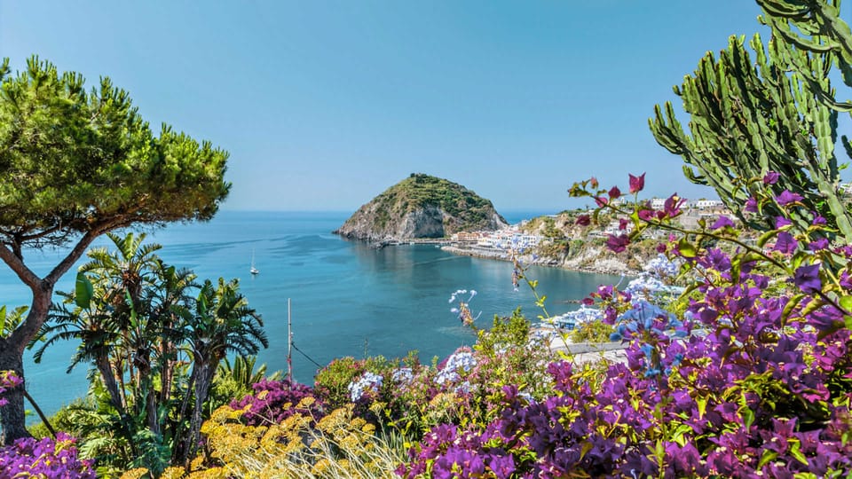 From Sorrento: Ischia And Procida Boat Tour | GetYourGuide