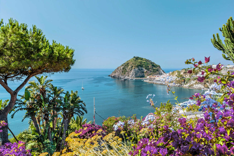 Från Sorrento: Båttur till Ischia och ProcidaFrån Sorrento: Ischia och Procida på båtutflykt