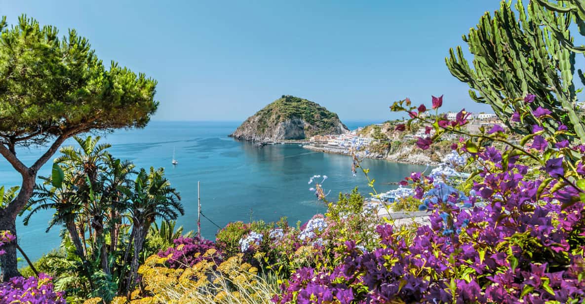 From Sorrento: Ischia and Procida Boat Tour