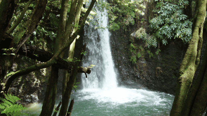fullday walking tour to faial da terra from ponta delgada