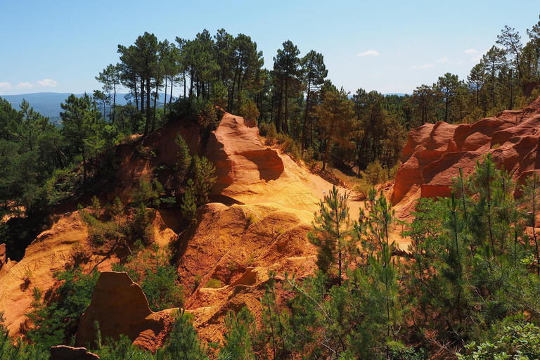 Cannes Shore Excursion: Private Provence Wine Experience