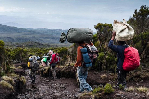 Kilimanjaro: 6-Day Marangu Route Climbing Tour