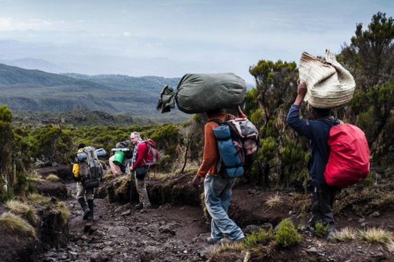 Kilimanjaro: 6-Day Marangu Route Climbing Tour