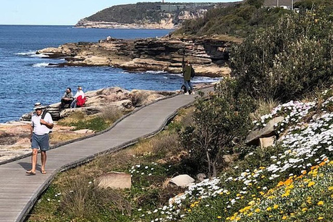 Sydney: Northern Beaches Walk with Lunch at Felons Manly
