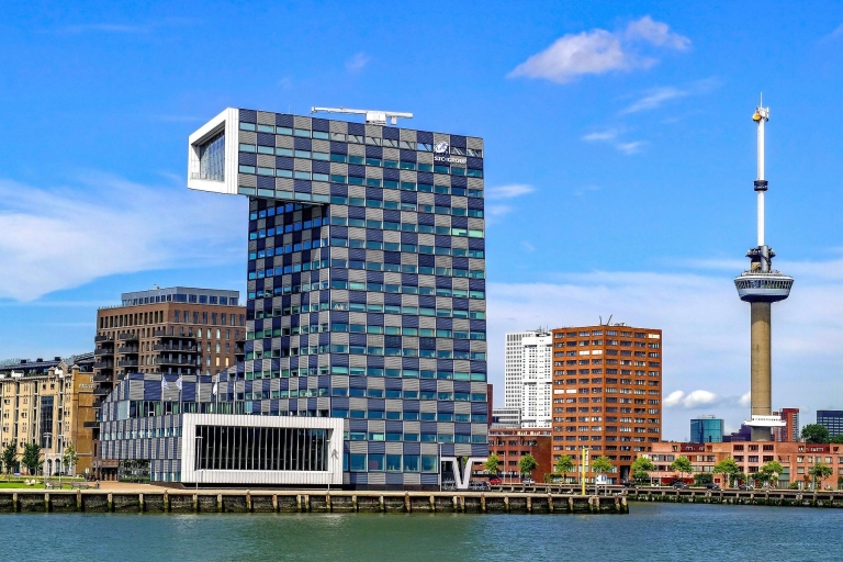 Rotterdam : visite à pied et croisière dans le port
