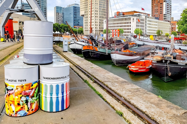 Rotterdam : visite à pied et croisière dans le port