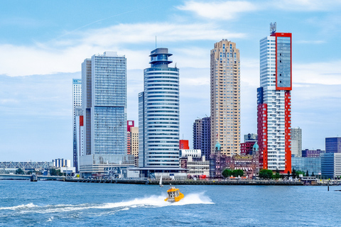 Rotterdam: wandeltocht en havenvaartRotterdam: wandeltocht en boottocht door de haven