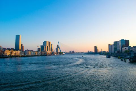 Rotterdam: Guidet tur til fots og havnecruise