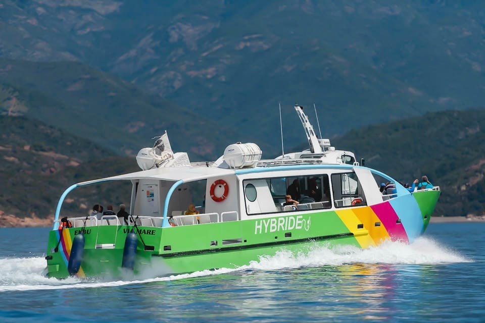 Corsica, Guided Sea Trip From Porto-Ota - Housity