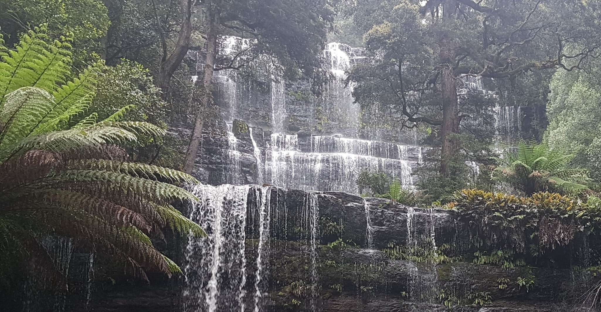 Hobart, 4 giorni Wild Tasmania Tour - Hizvo