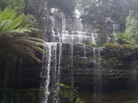 Hobart, 4 giorni Wild Tasmania Tour - Hizvo