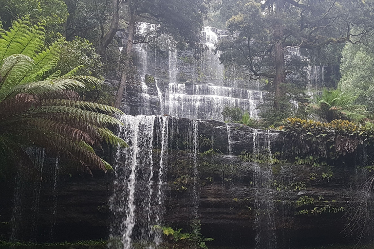 Hobart: 4 Tage Wild Tasmanien Tour