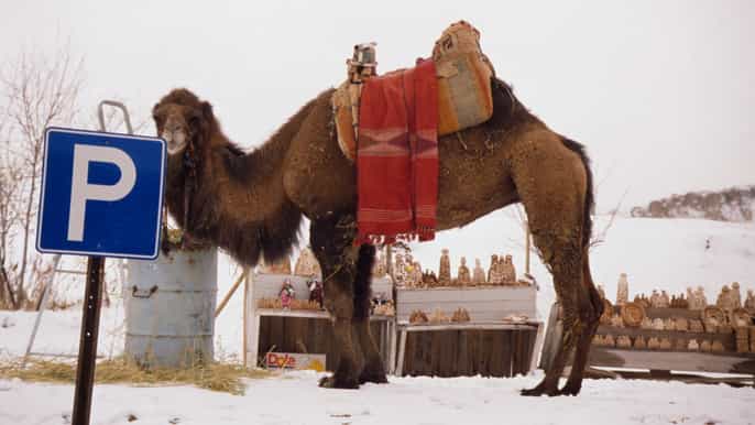 cappadocia private fullday tour