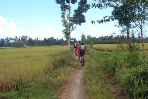 Passeggiata in bicicletta in campagna fino al villaggio di Golong e al tempio di Lingsar