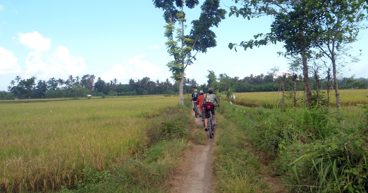 Countryside Bike Ride to Golong Village and Lingsar Temple | GetYourGuide