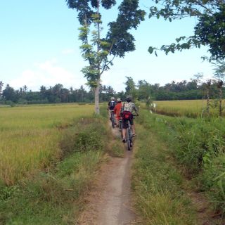 Passeggiata in bicicletta in campagna fino al villaggio di Golong e al tempio di Lingsar
