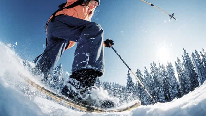 alpine adventure snowshoe in the swiss alps
