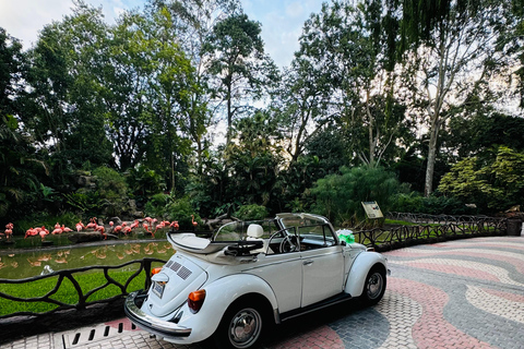 Tour in a classic vw around Antigua Guatemala Antigua Guatemala Tour in a Classic VW