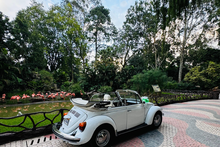 Tour in a classic vw around Antigua Guatemala Antigua Guatemala Tour in a Classic VW