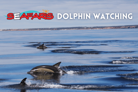 Lagos: Dolphin Watching and Benagil Caves Boat Tour