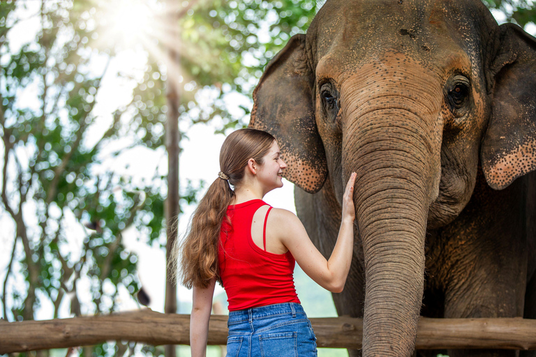 Phuket: Half‑Day Elephant Care Experience Including Lunch