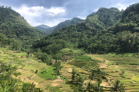 Yogyakarta: Borobudur-Besteigung &amp; Selogriyo-Reisterrassen-TourYogyakarta: Borobudur und Selogriyo Reisterrasse Tagestour