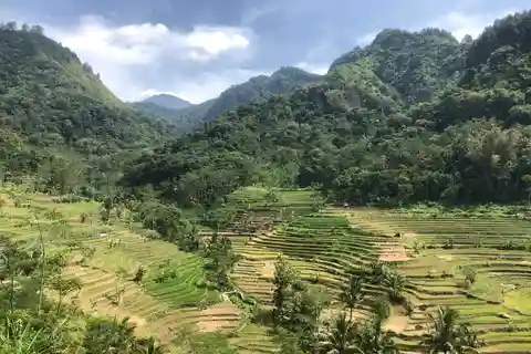 Yogyakarta: Borobudur Climb Up & Selogriyo Rice Terrace Tour