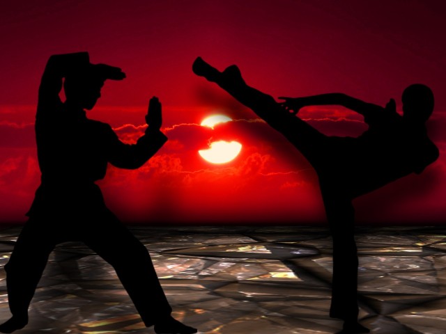 Visit Beijing Night Tour Kung Fu Show with Transfer in Beijing, China