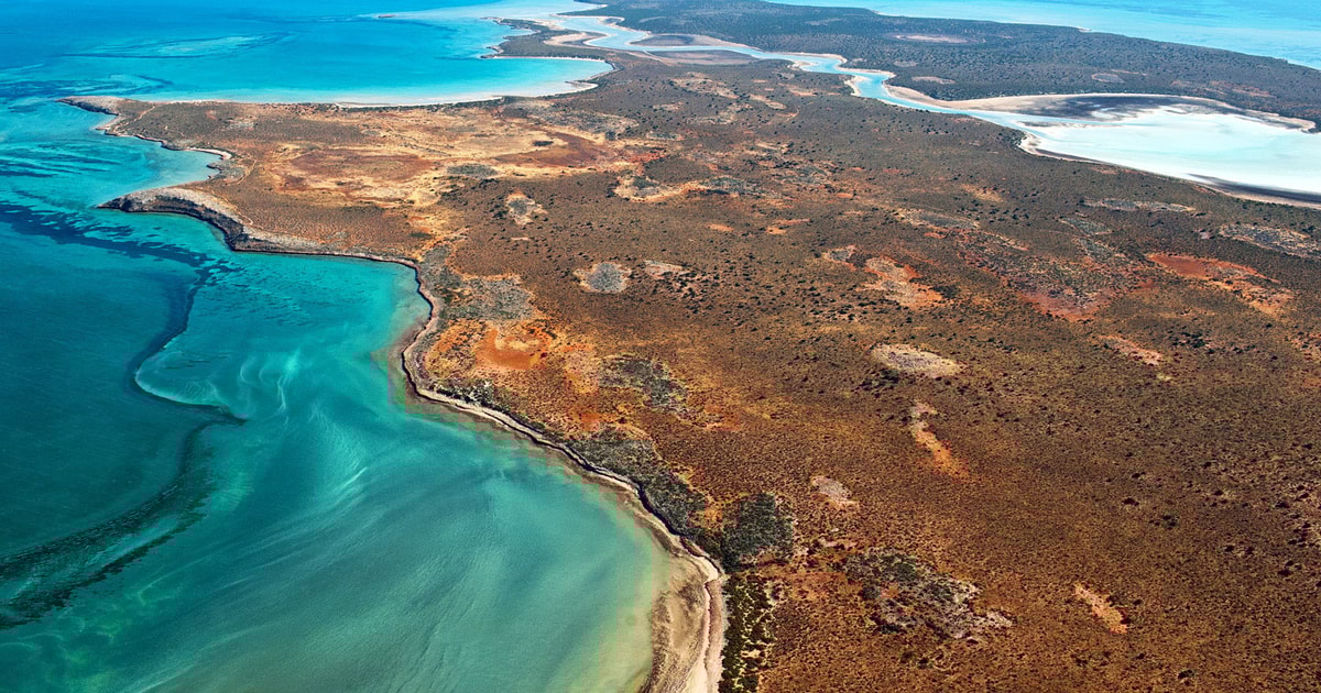 Abrolhos Island Discovery Tour GetYourGuide