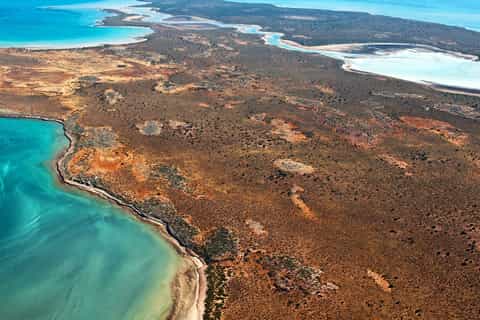 Abrolhos Island Discovery Tour