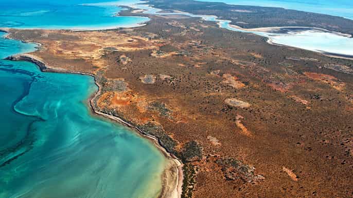 abrolhos island discovery tour