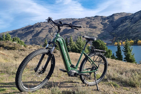 Queenstown: Winery Loop by Ebike & Take-Home Bottle of Wine