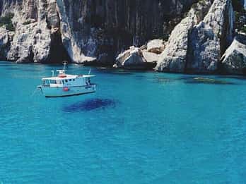 Cagliari: Private or Small Group Fishing Trip Experience