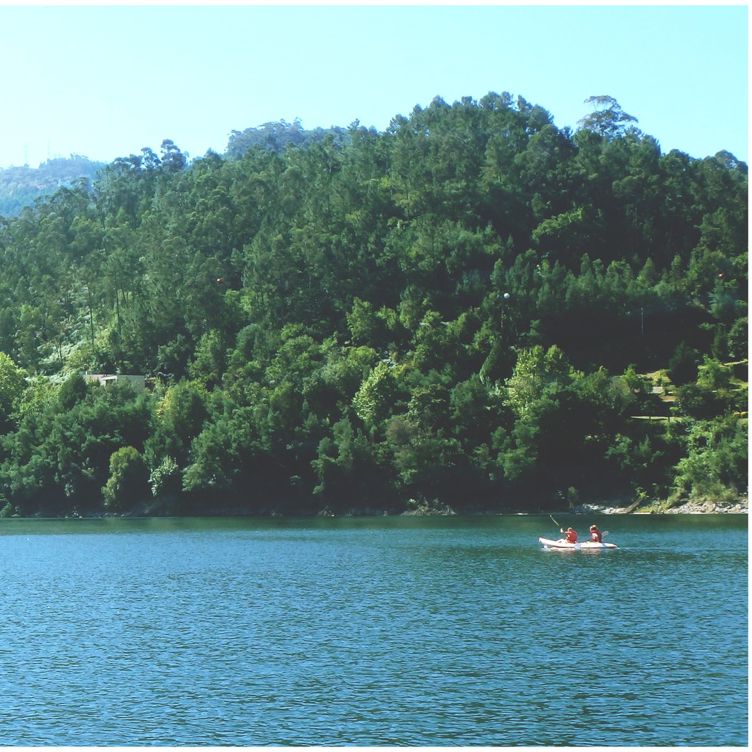 Colagem de mídia