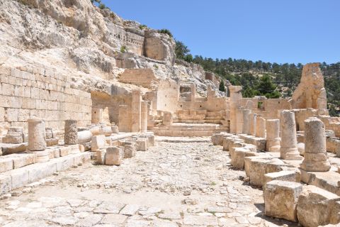 Ephesus: Guided Walking Tour