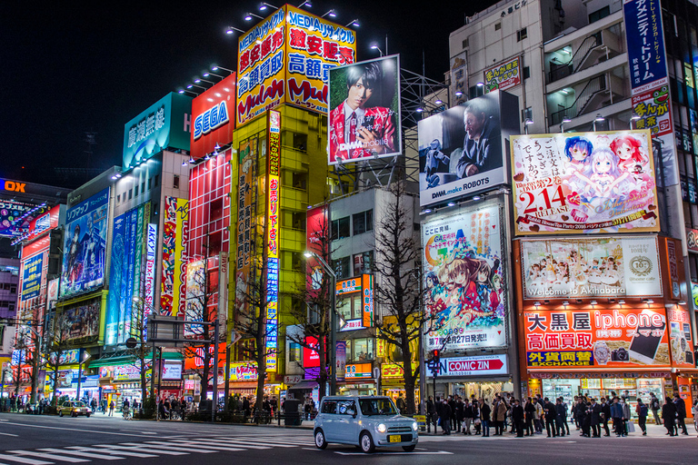 Tour fotografico privato di Tokyo con un fotografo professionistaTour fotografico privato di 3 ore diurno o notturno