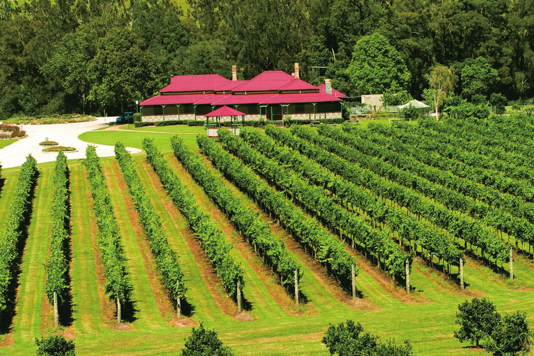 From Brisbane: Lamington National Park Rainforest Tour