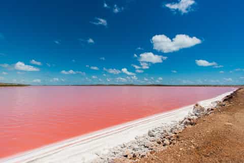 Hutt Lagoon Pink Lake Flight