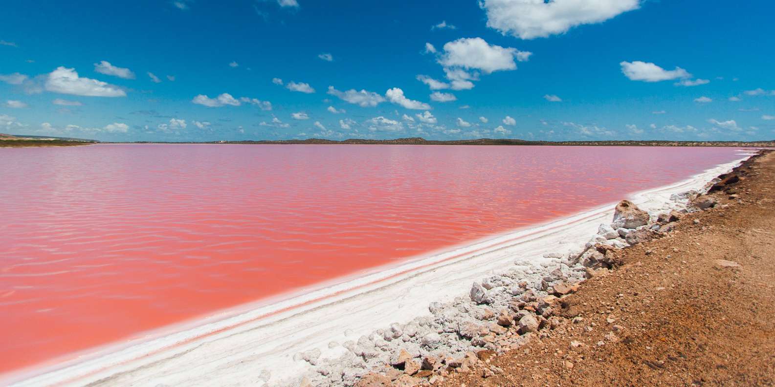 Hutt Lagoon Pink Lake Flight Getyourguide