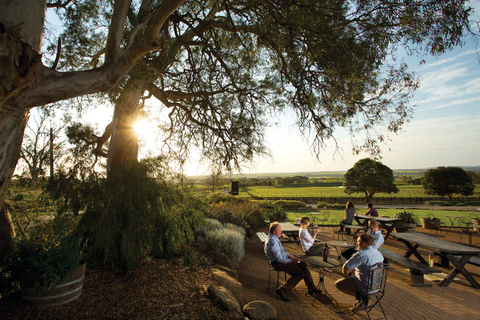 Adelaide: Sightseeing med hop-on hop-off i Barossa Valley