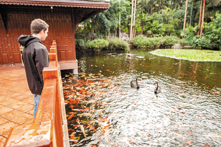 Do sul de Tenerife: Ingresso para o Loro Park Zoo e traslados para o hotel