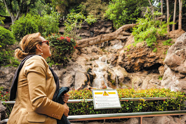 Da Tenerife Sud: Biglietto per lo zoo di Loro Park e trasferimenti in hotelDa Tenerife Sud: Biglietto per lo zoo di Loro Park e trasferimenti dall&#039;hotel