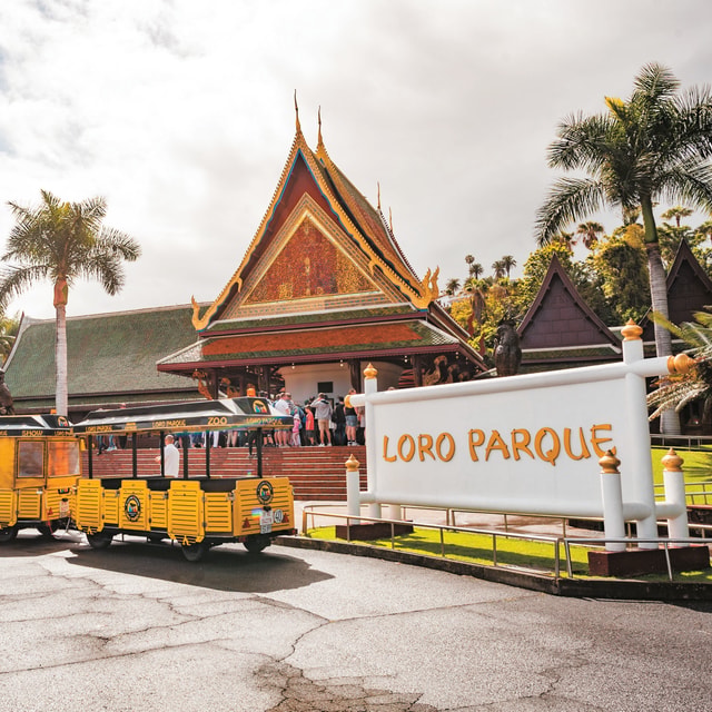 From South Tenerife: Loro Park Zoo Ticket & Hotel Transfers
