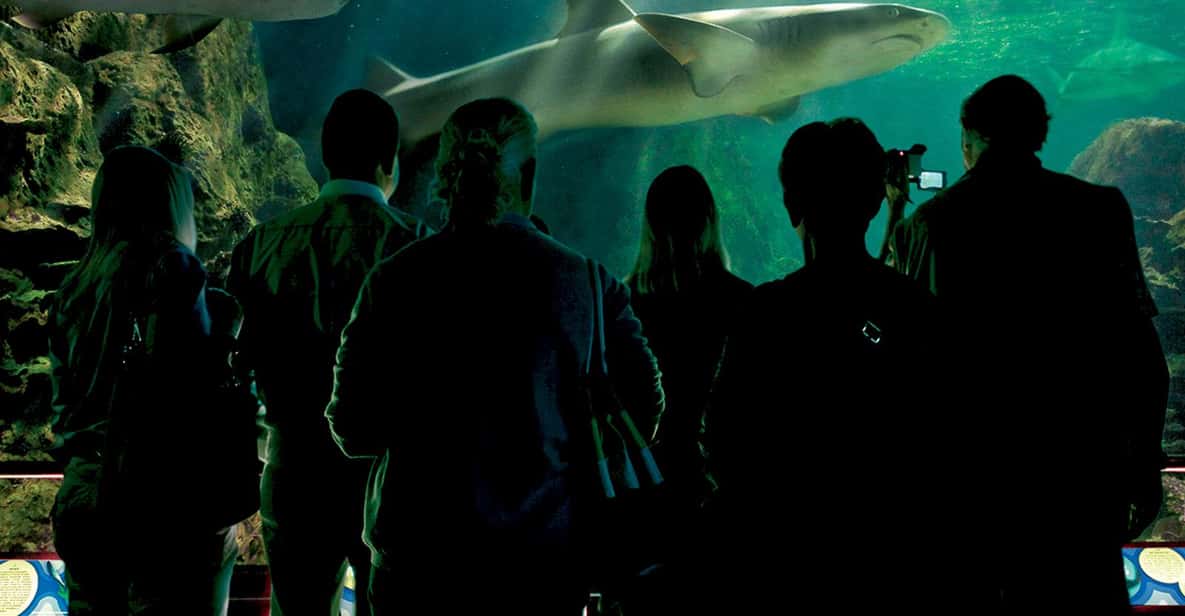 Afbeelding 4 van Tenerife: Loro Parque & Siam Park toegangsbewijs met Transfer