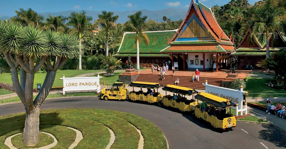 Afbeelding 8 van Tenerife: Loro Parque & Siam Park toegangsbewijs met Transfer
