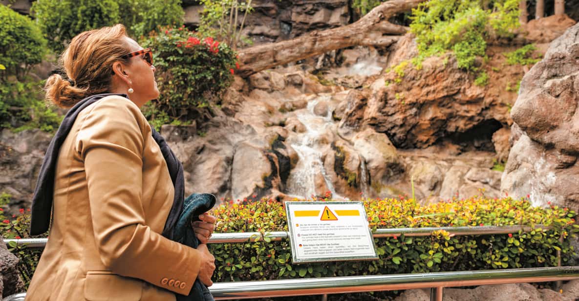 Afbeelding 10 van Tenerife: Loro Parque & Siam Park toegangsbewijs met Transfer